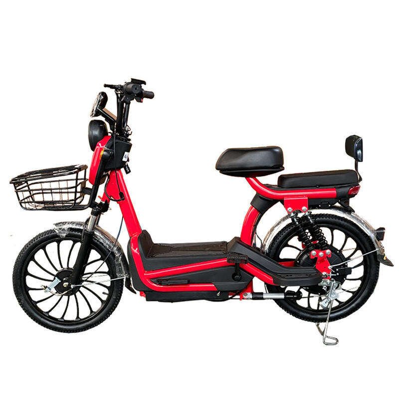 Mountain Electric Bicycles Manufacturer - Made in China Direct Deal Wide
