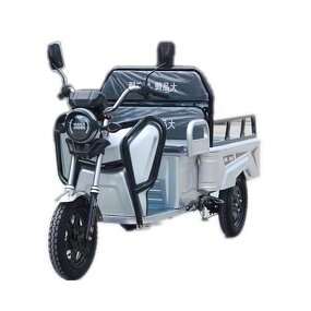 Electric Tricycle Manufacturer - OEM/ODM Hot High-power Safety Three Wheel