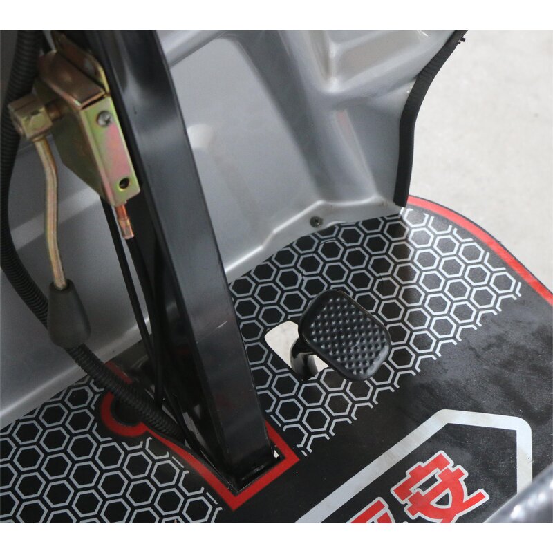 Electric Tricycle Manufacturer - OEM/ODM 2025 3-wheel 800w High-power Cargo