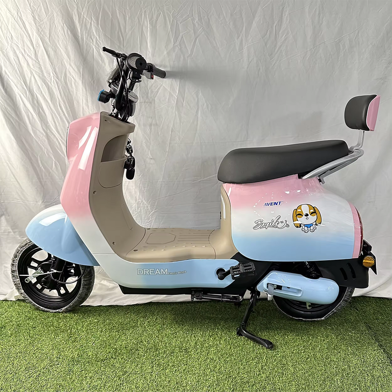 Electric Bike Manufacturer - OEM/ODM High Quality Hot Sale Anti-theft Alarm