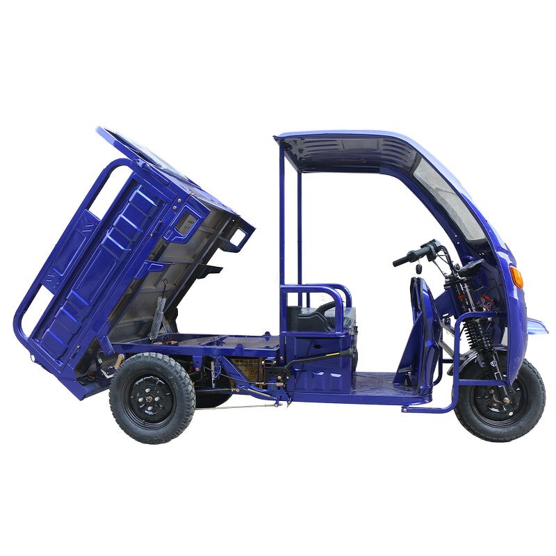 Electric Cargo Tricycle Manufacturer - OEM/ODM High Quality 1000w Motor
