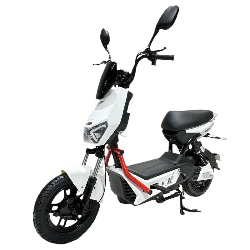 Electric Bicycle Manufacturer - OEM/ODM 500w Adult 2-wheel with Lead-acid