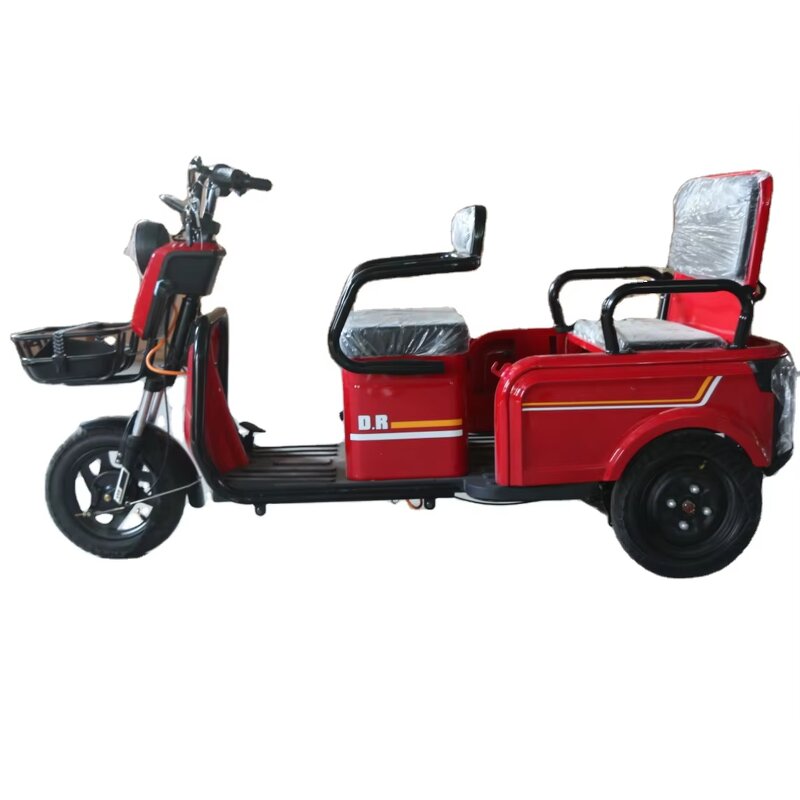 Electric Tricycle Manufacturer - OEM/ODM Adult City 48V 20Ah 600W Three-wheeled