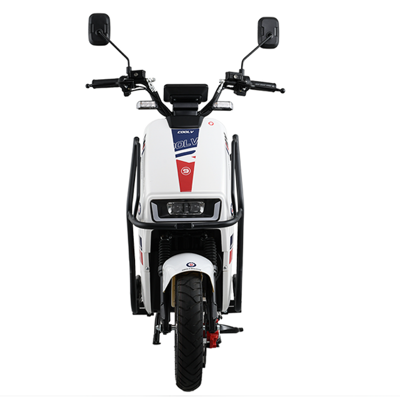 Electric Bicycle Manufacturer - OEM/ODM Top Selling City Long Range Off Road