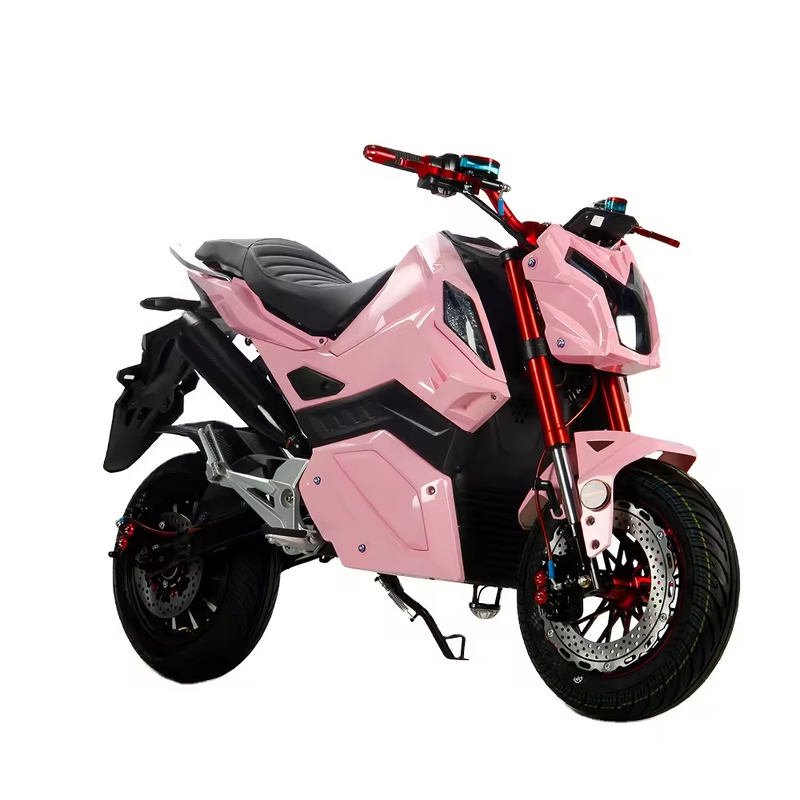 Electric Motorcycle Manufacturer - Factory Direct Sales 1000w Two-wheel