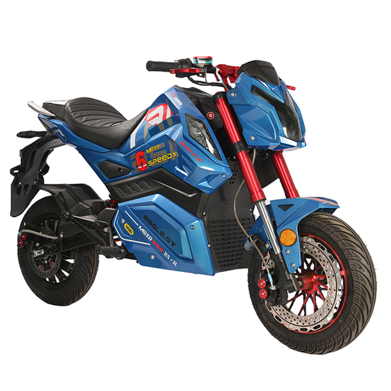 Electric Motorcycle Manufacturer - Factory Direct Sales 1000w Two-wheel