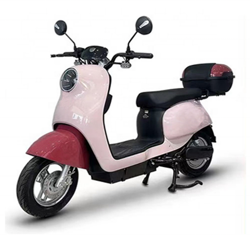 Electric Bicycle Manufacturer - OEM/ODM Hot Sale 500W 2 Seat Adult Moped