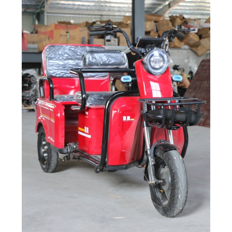 Delivery Electric Tricycle Manufacturer - OEM/ODM 48V 20Ah 800W Brushless