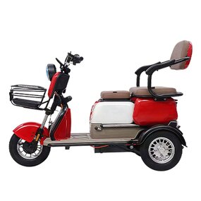 Electric Tricycle Manufacturer - OEM/ODM High Quality E Bikes Convenient