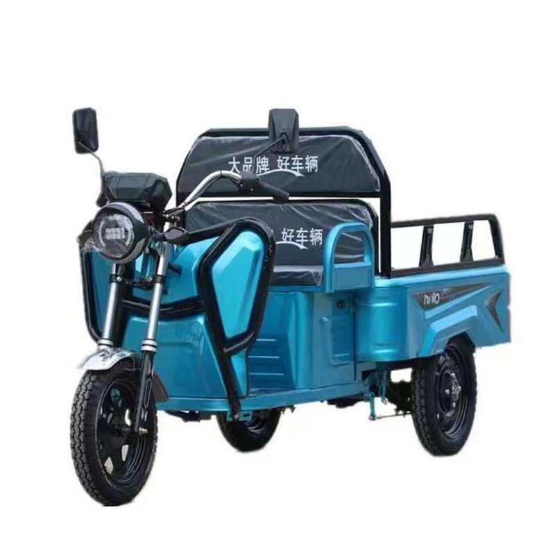Electric Tricycle Manufacturer - OEM/ODM 2025 3-wheel 800w High-power Cargo