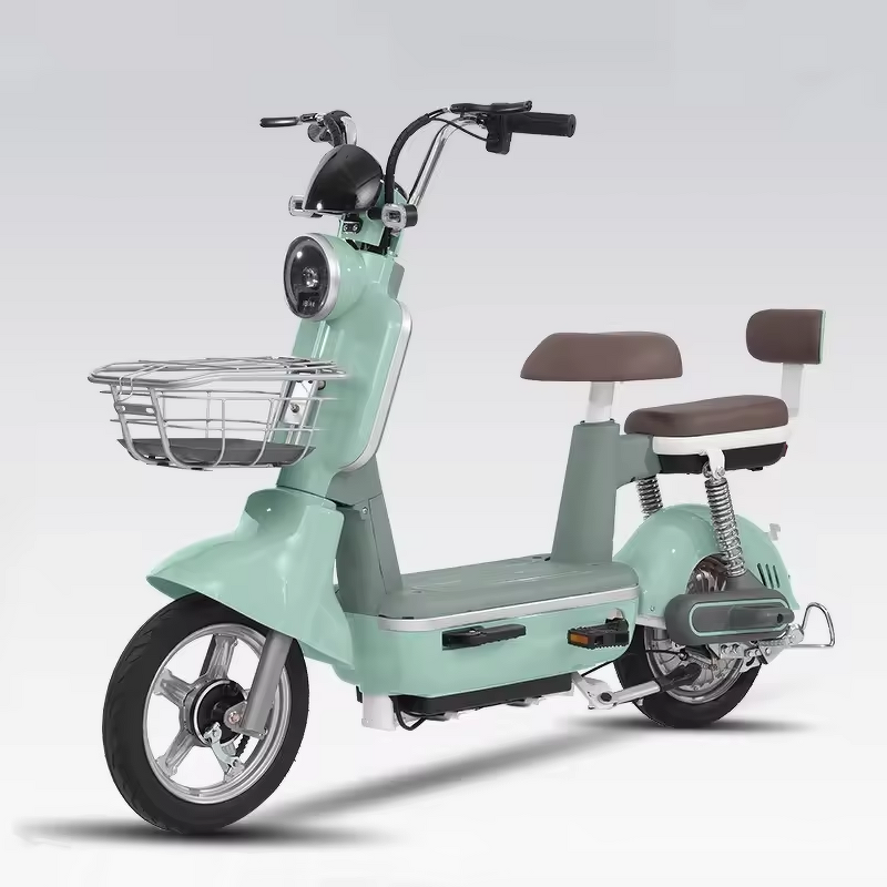 Electric Bike Manufacturer - OEM/ODM 2024 Cheap City Leisure Two Wheeled