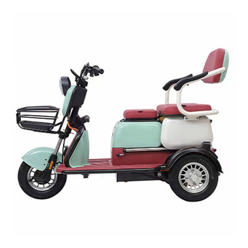 Electric Bicycles Manufacturer - OEM/ODM High Quality Cheap Three-Wheeled