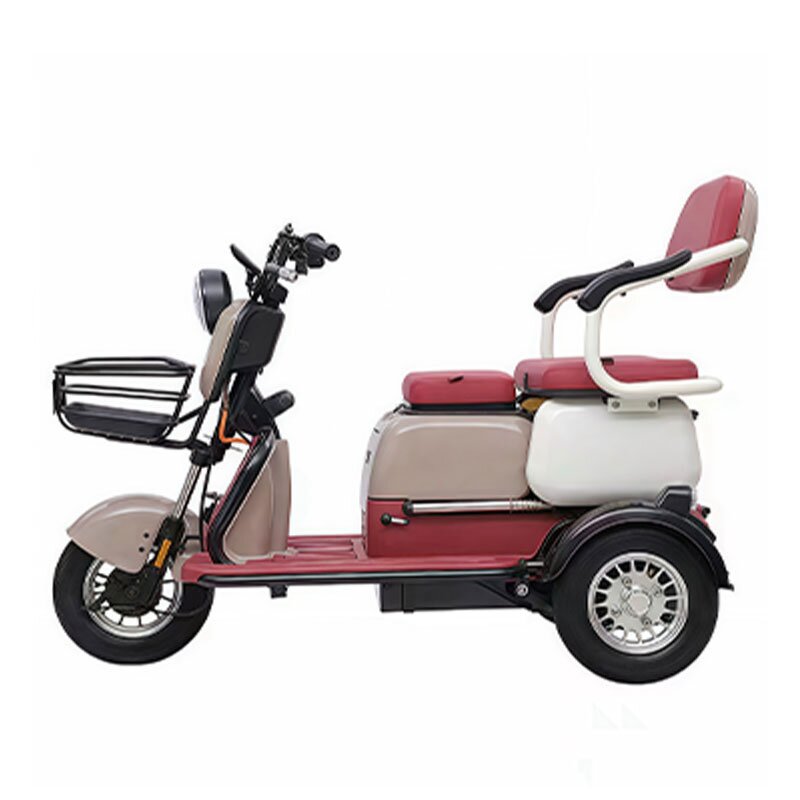 Electric Bicycles Manufacturer - OEM/ODM High Quality Cheap Three-Wheeled