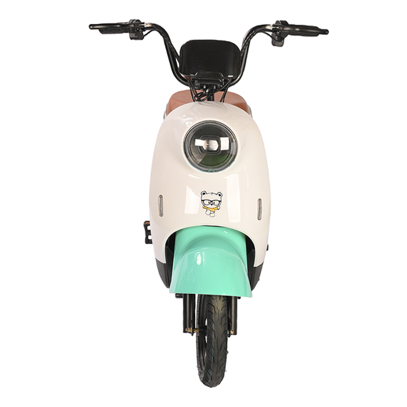 Electric City Bike Manufacturer - OEM/ODM 48V 350W Long Range ODM/OEM Road