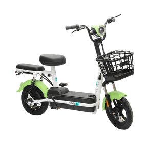 Electric Bicycle Manufacturer - Factory Direct Sales 350w Customizable Color