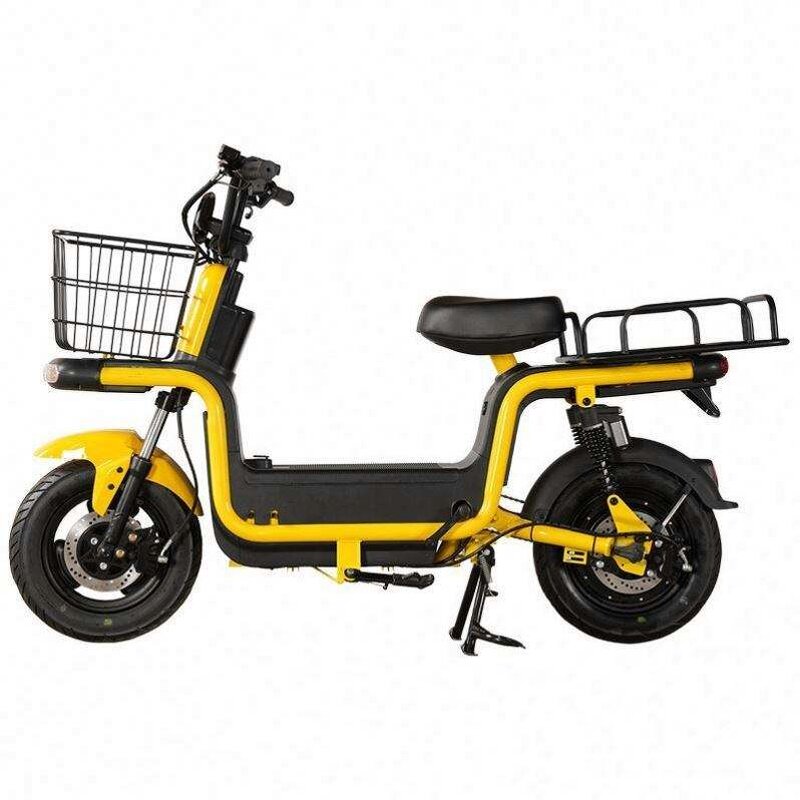 Storage Electric Bicycle Manufacturer - OEM/ODM Electric Bike with Trunk