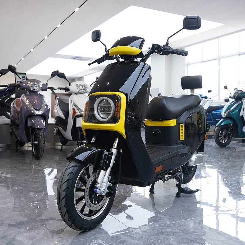 Electric Motorcycle Manufacturer - OEM/ODM High Speed Cargo 60-75km/h Moped