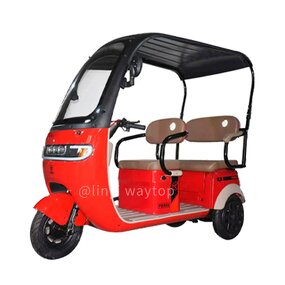 Electric Tricycle Manufacturer - OEM/ODM 800W Motor Leisure 48v 3-Wheel Steel