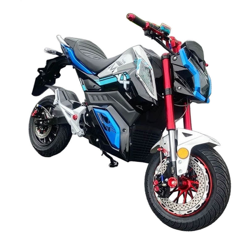Electric Motorcycle Manufacturer - Factory Direct Sales 1000w Two-wheel
