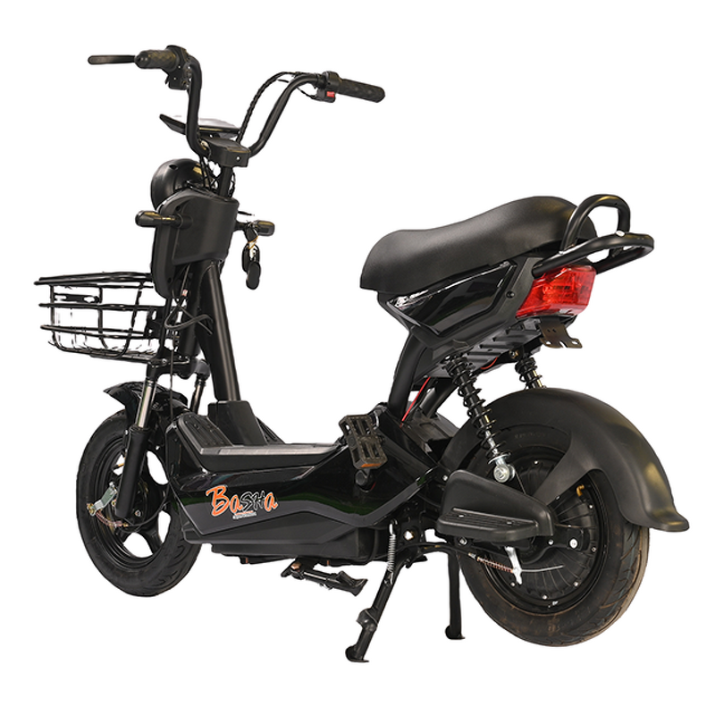 Electric Bicycle Manufacturer - OEM/ODM Bicicleta Electrica Para Adultos