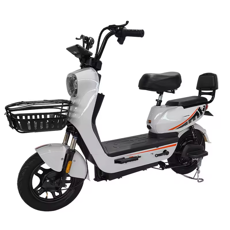 Electric Bicycle Manufacturer - Factory Delivered Efficient 48v Motor