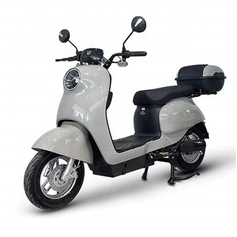 Electric Bicycle Manufacturer - OEM/ODM Hot Sale 500W 2 Seat Adult Moped