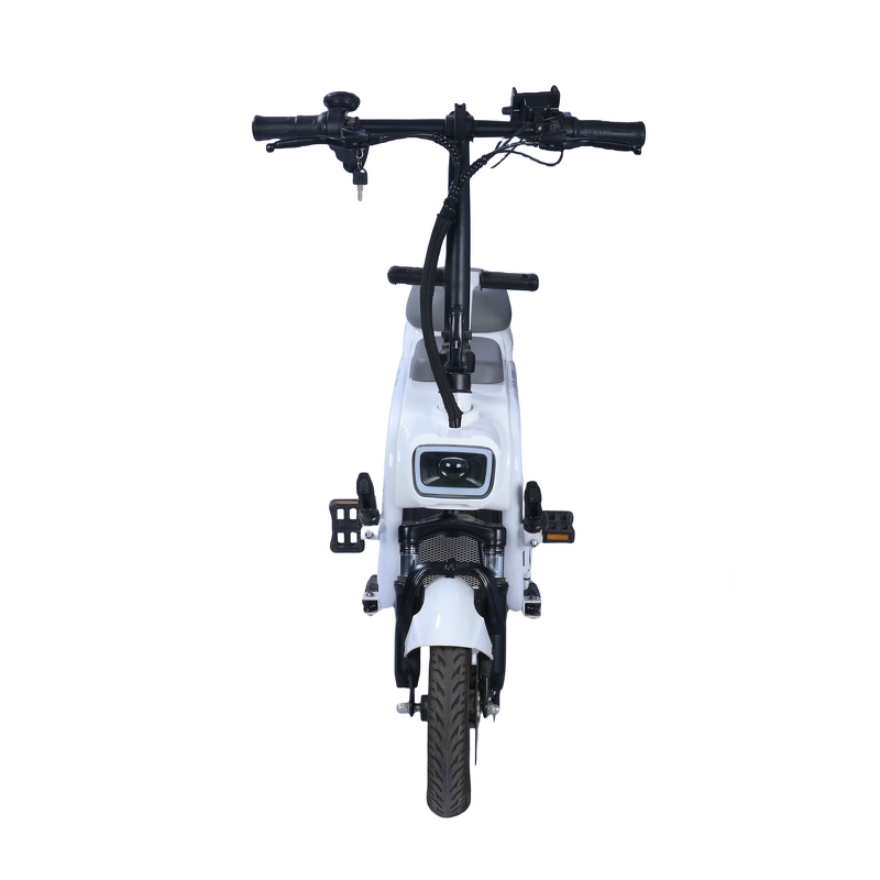Electric Bicycle Manufacturer - OEM/ODM 350W High-speed Motor Lithium Battery
