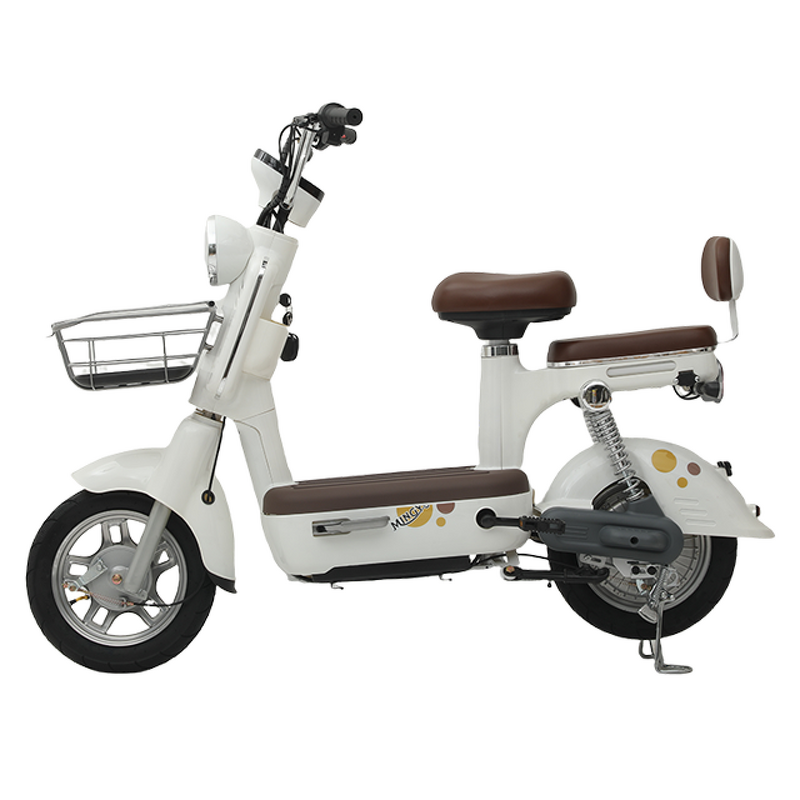 Electric Bicycle Manufacturer - OEM/ODM City Road 48V Lead-Acid 350W/500W