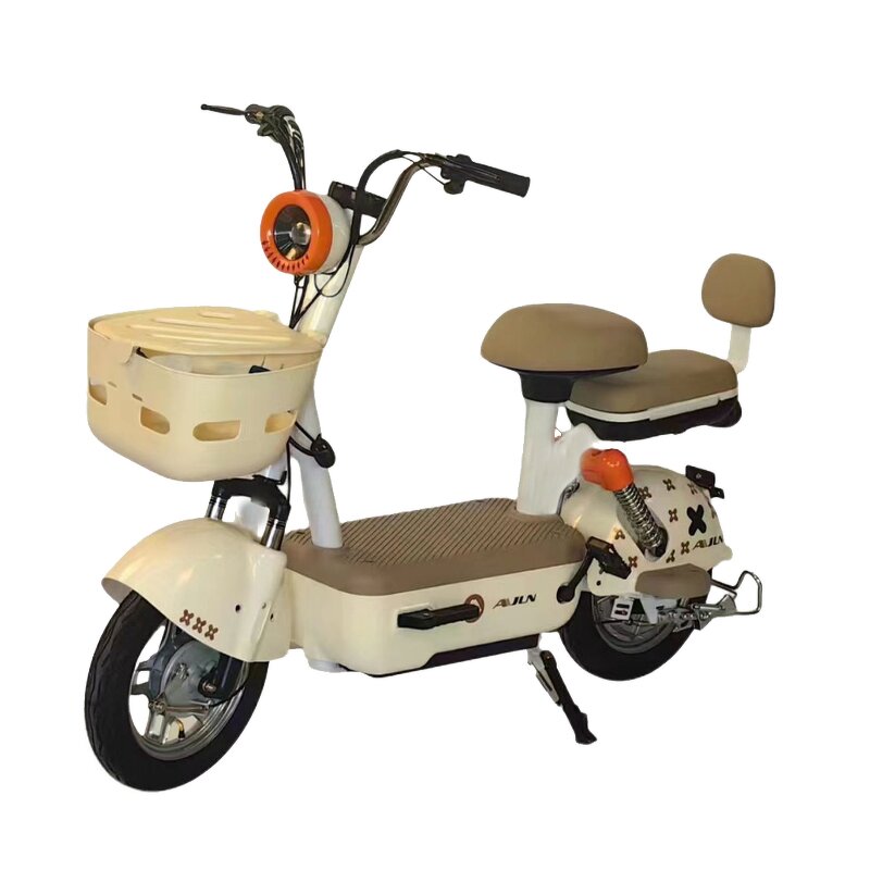 Electric Bike Manufacturer - Factory Price Fashion Two-person 350w48v