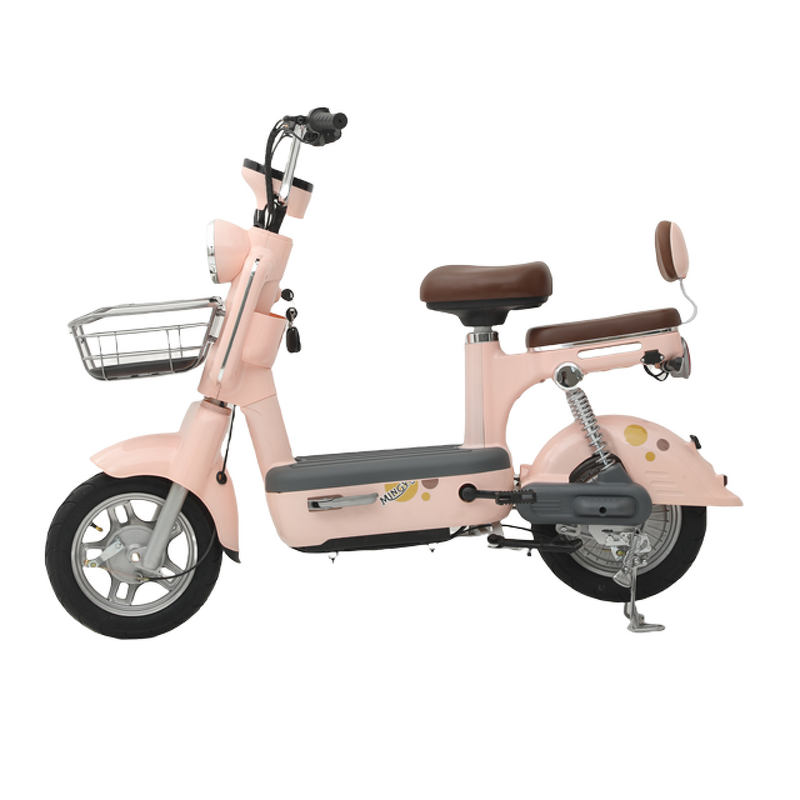 Electric Bicycle Manufacturer - OEM/ODM City Road 48V Lead-Acid 350W/500W