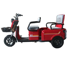 Electric Tricycle Manufacturer - OEM/ODM 48V/60V High Quality 600W Freight