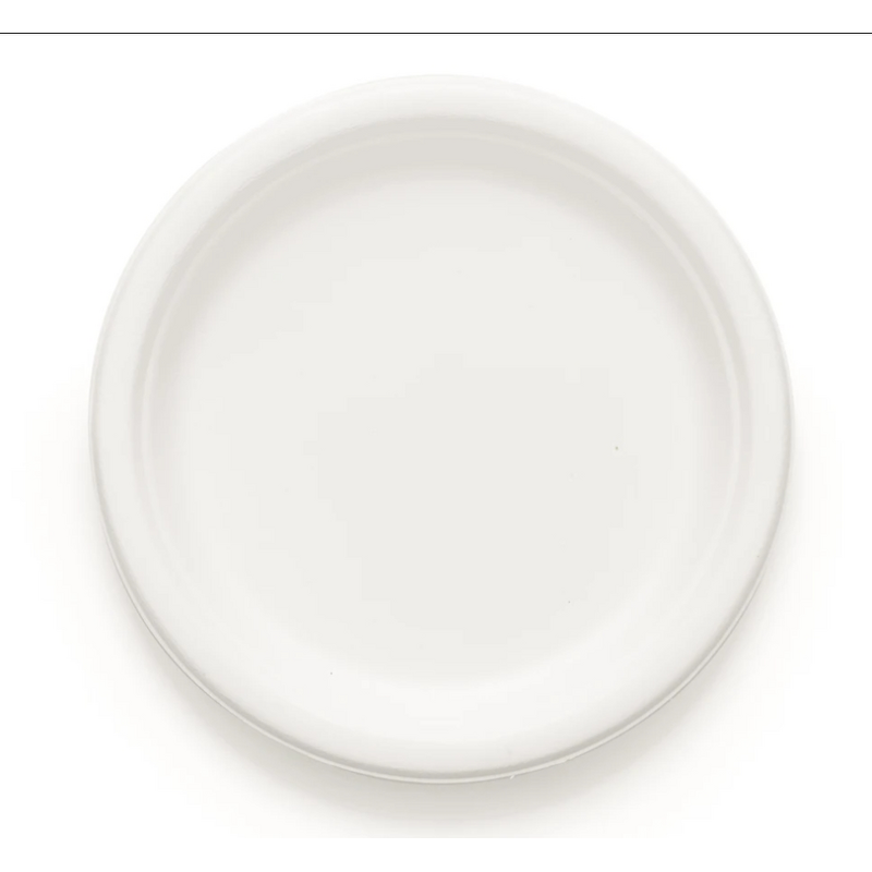 Bagasse Disposable Plates Supplier - High Quality Biodegradable for Parties Camping