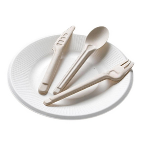 Bagasse Cutlery Supplier - Natural Disposable Lunch Box for Breakfast Lunch Dinner