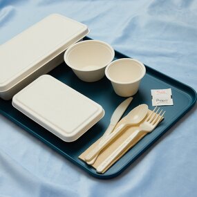 PHA Cutlery Set Manufacturer - Eco-friendly Home Degradation Marine Degradation