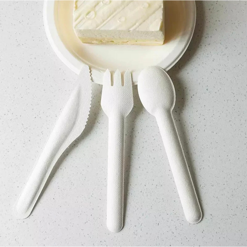 Bagasse Cutlery Supplier - Natural Disposable Lunch Box for Breakfast Lunch Dinner