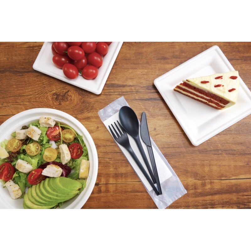 PLA Cutlery Manufacturer - Compostable 6.5 Inch High-Temperature Plant-Based