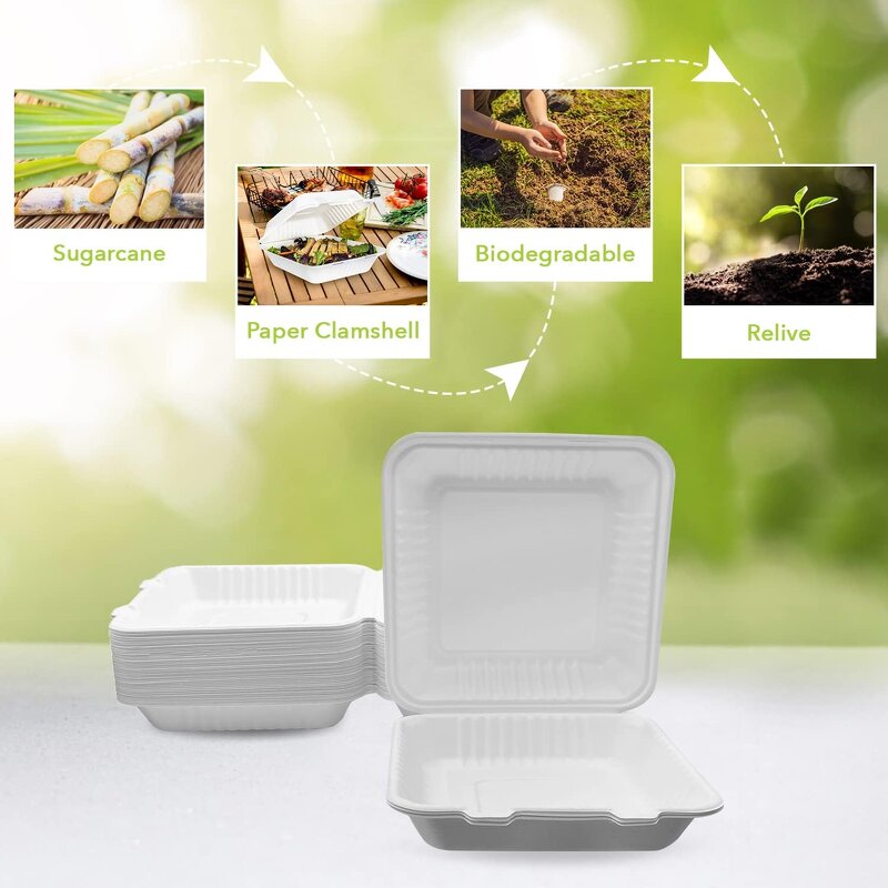 Bagasse Hamburger Box Supplier - Biodegradable Food Container Take Away Lunch Packing