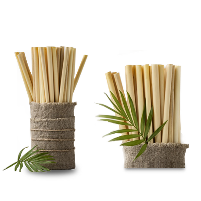 Bamboo Drinking Straws Supplier - Eco-Friendly Biodegradable Reusable Wholesale