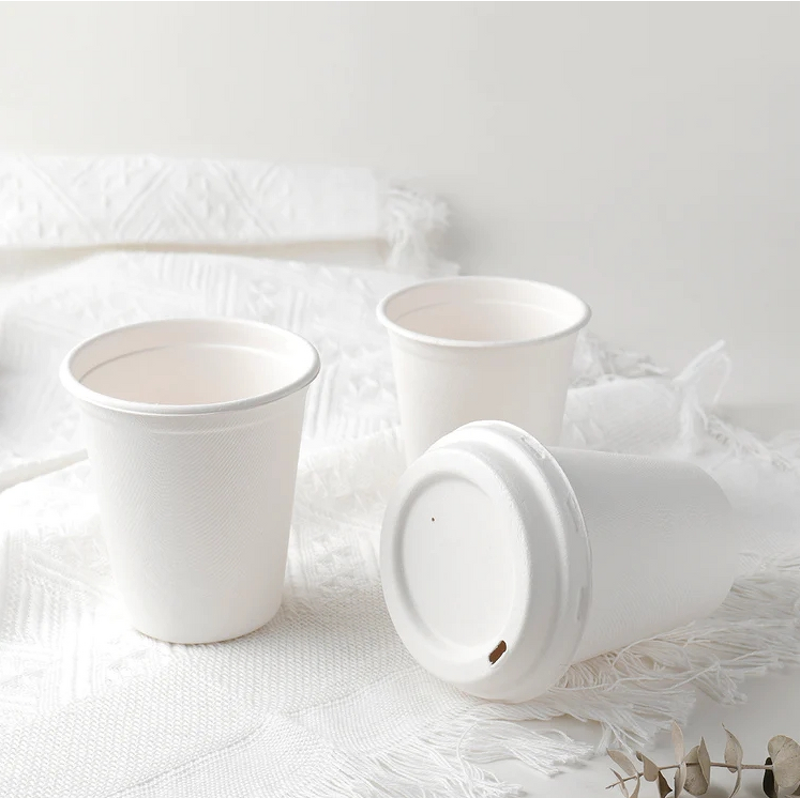 Bagasse Paper Cup Supplier - OEM 100% Biodegradable Take Away Coffee Cup