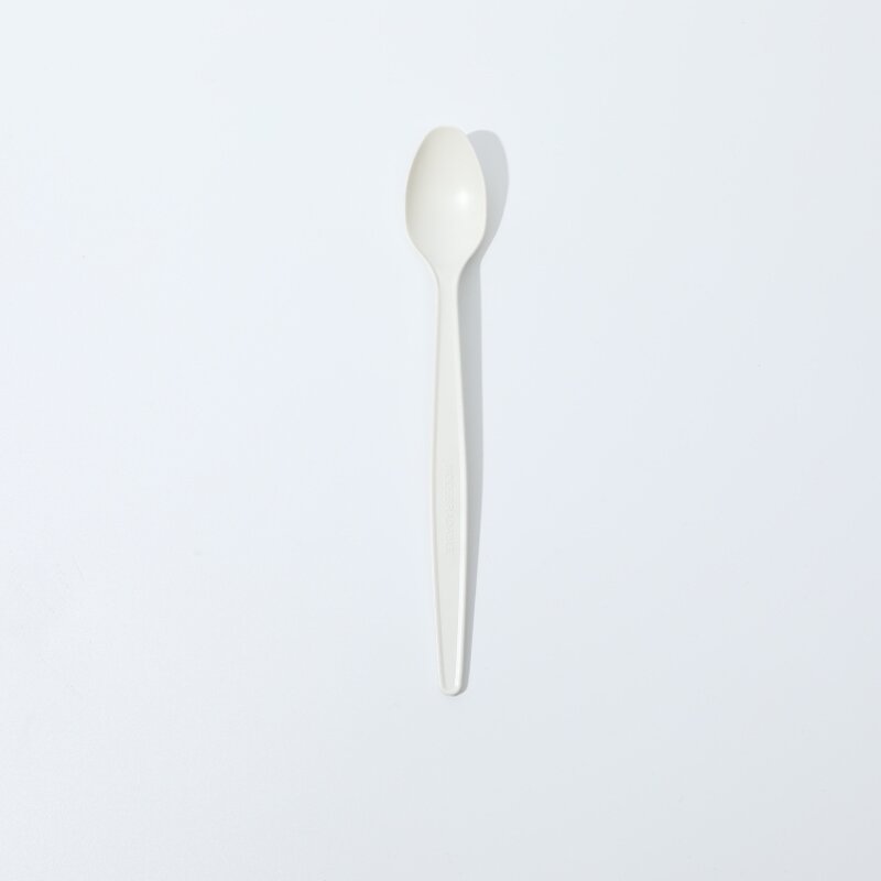 Biodegradable Plastic Ladle Spoon Supplier - Wholesale Disposable for Takeaway Camping