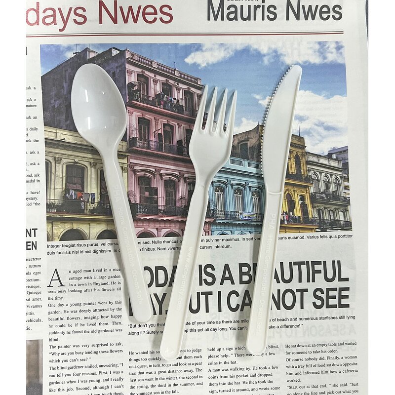 PHA Disposable Cutlery Supplier - Home Compostable Eco-friendly Marine Safe 7 Inch