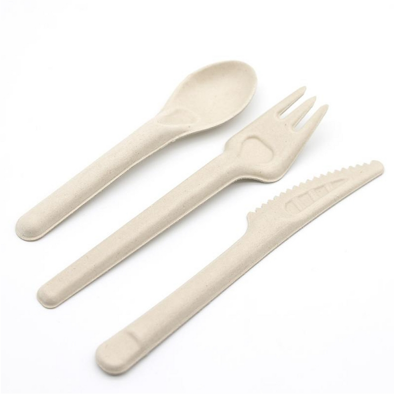 Bagasse Paper Pulp Cutlery Manufacturer - Eco-Friendly Compostable for Camping