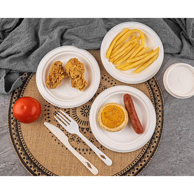Bagasse Disposable Plates Supplier - High Quality Biodegradable for Parties Camping