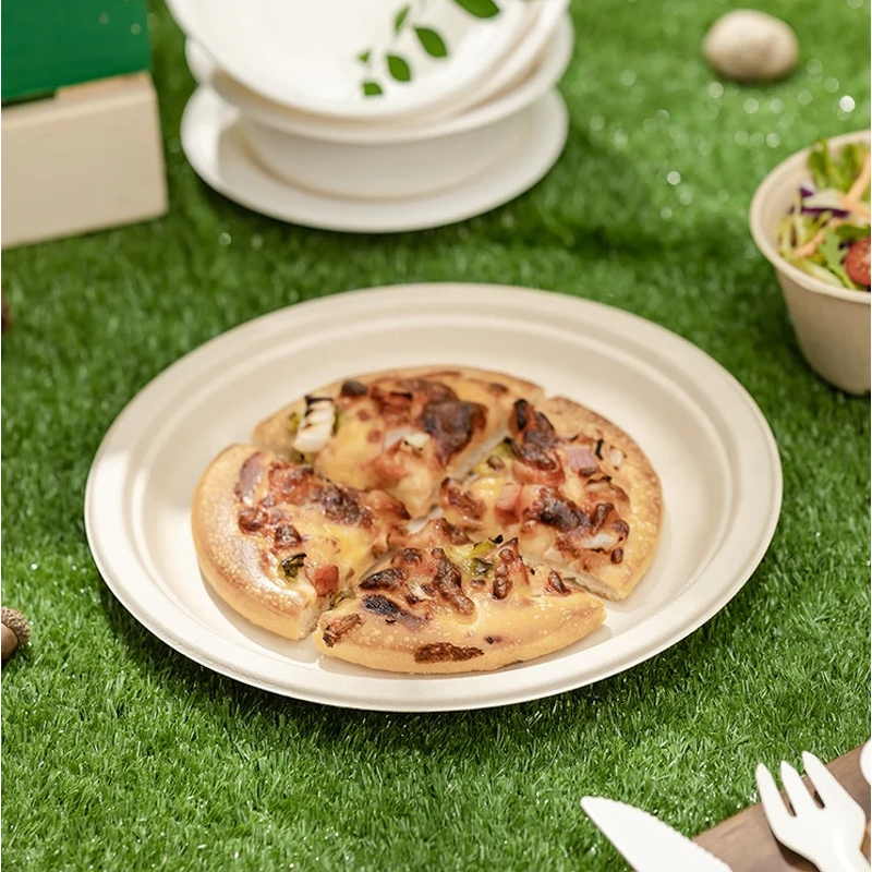 Bagasse Dinner Plates Factory - Biodegradable Leakproof Flat Natural Design