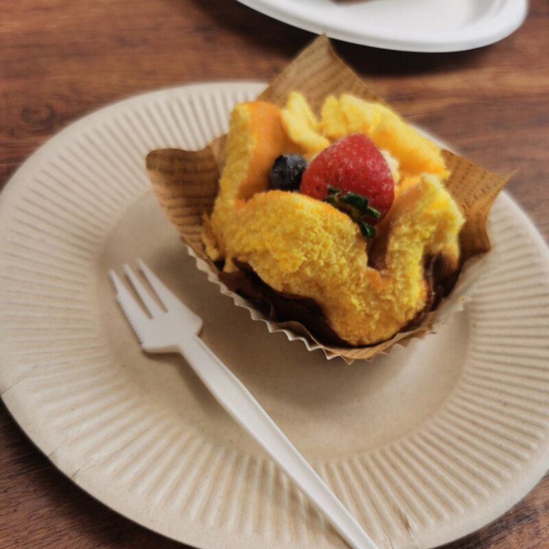 CPLA Serrated Fork Manufacturer - Factory Direct High Temperature Resistant