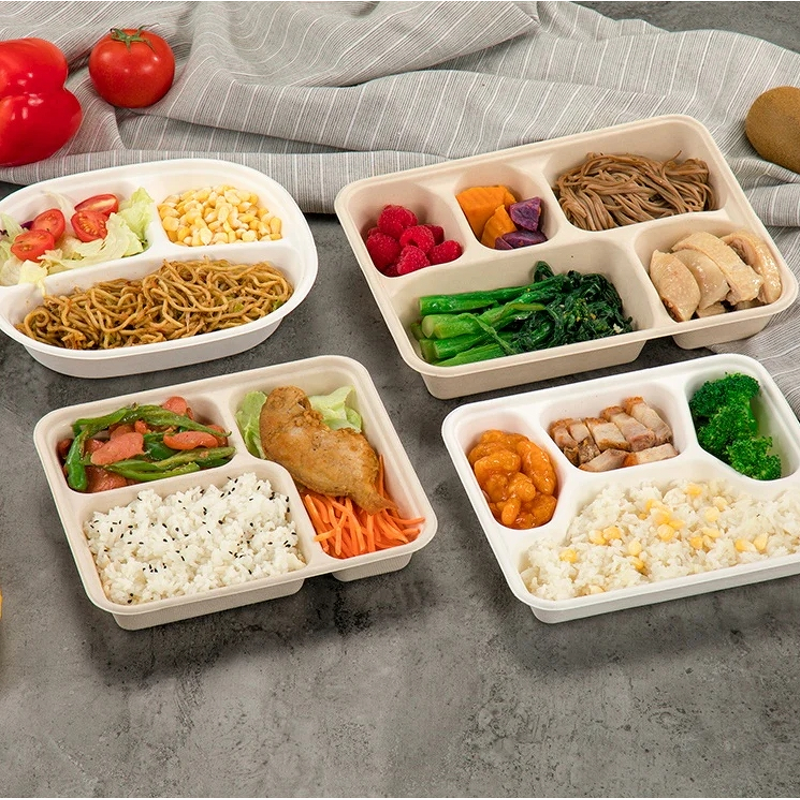 Bagasse Food Container Manufacturer - Restaurant Takeaway Clamshell Bento Lunch Box