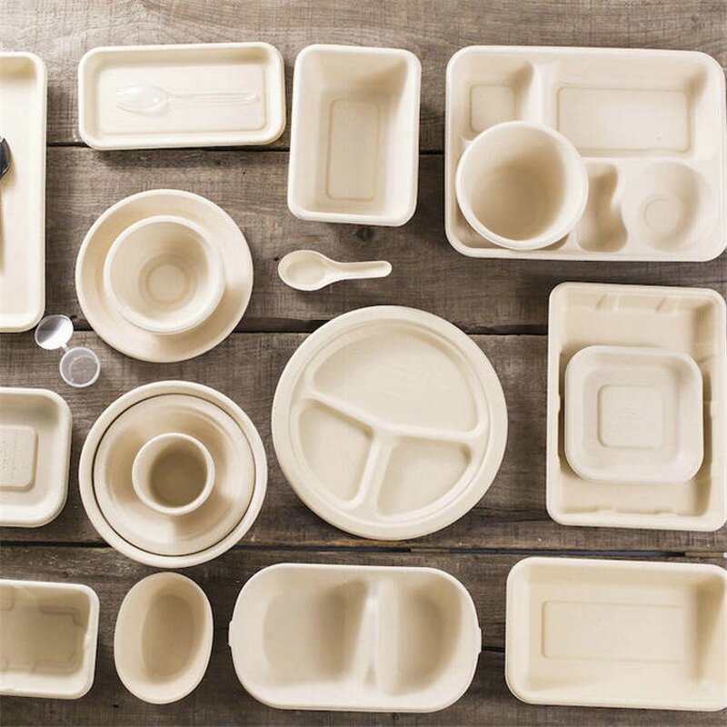 Bagasse Food Container Manufacturer - Restaurant Takeaway Clamshell Bento Lunch Box