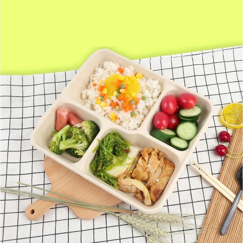Bagasse Food Container Manufacturer - Restaurant Takeaway Clamshell Bento Lunch Box