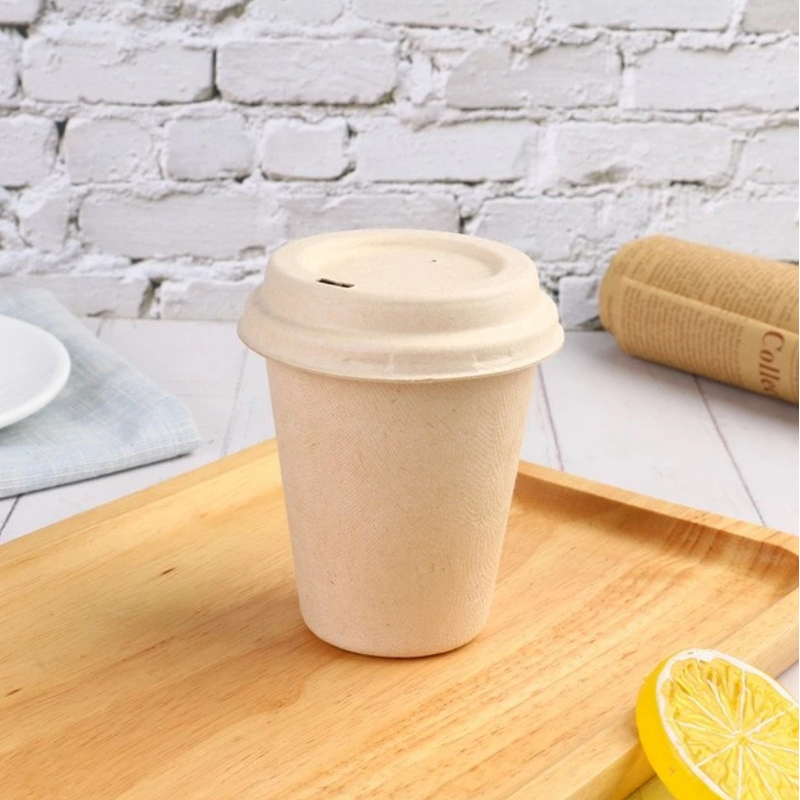 Bagasse Paper Cup Supplier - OEM 100% Biodegradable Take Away Coffee Cup
