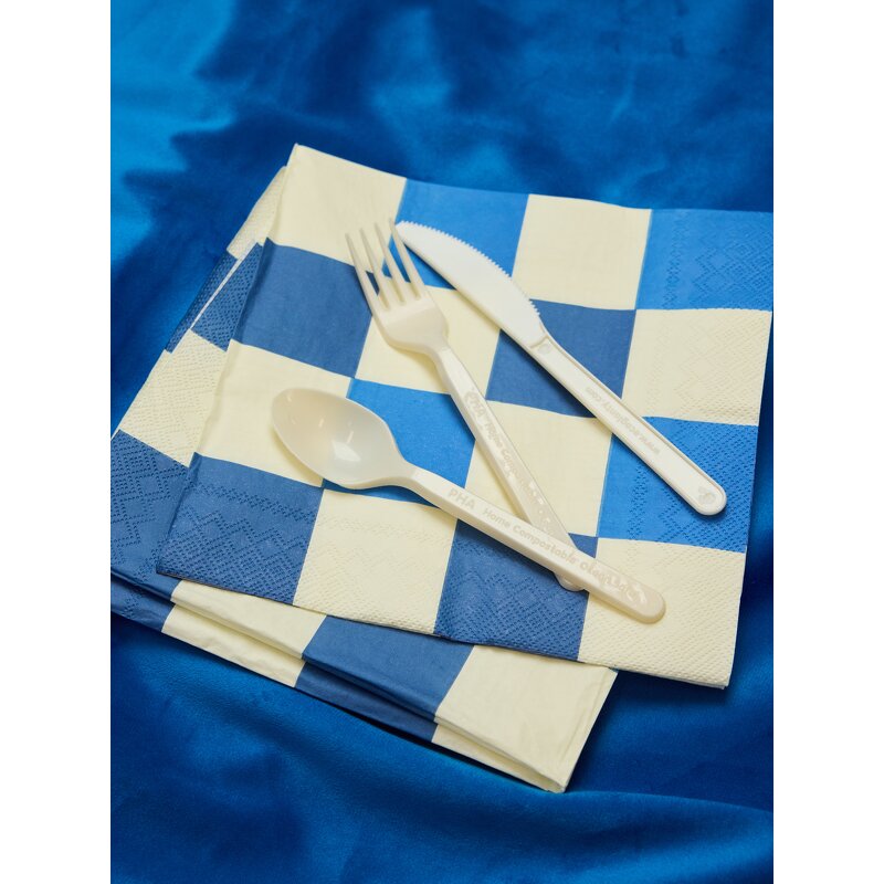 PHA Disposable Cutlery Supplier - Home Compostable Eco-friendly Marine Safe 7 Inch